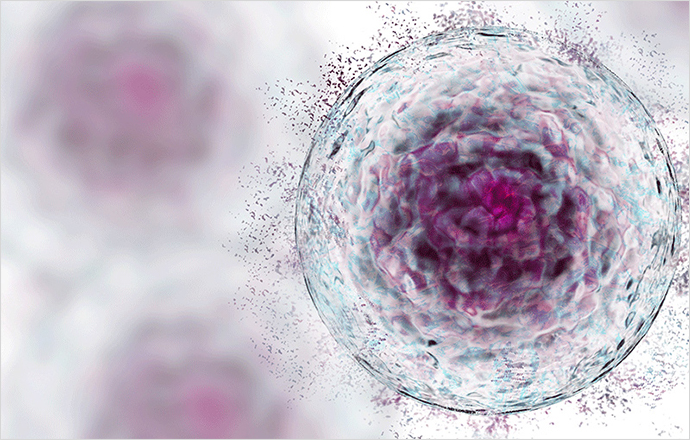 再生医療で活用される幹細胞とは？