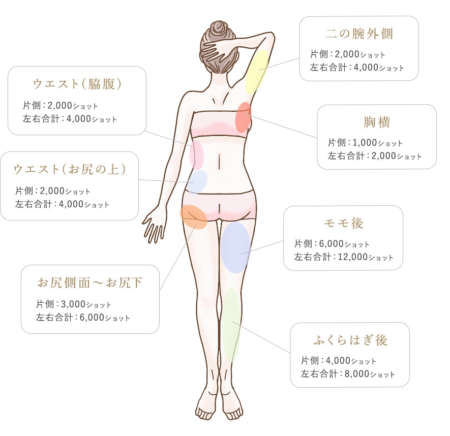 ボディー 後ろ
